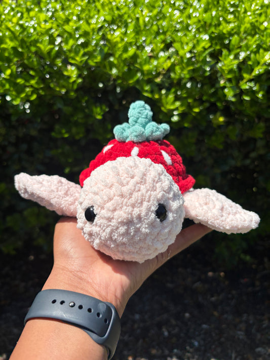 Strawberry Turtle