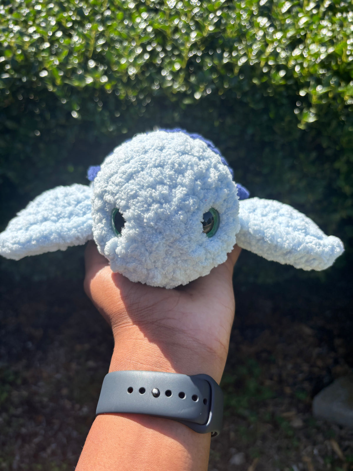 Blue Turtle