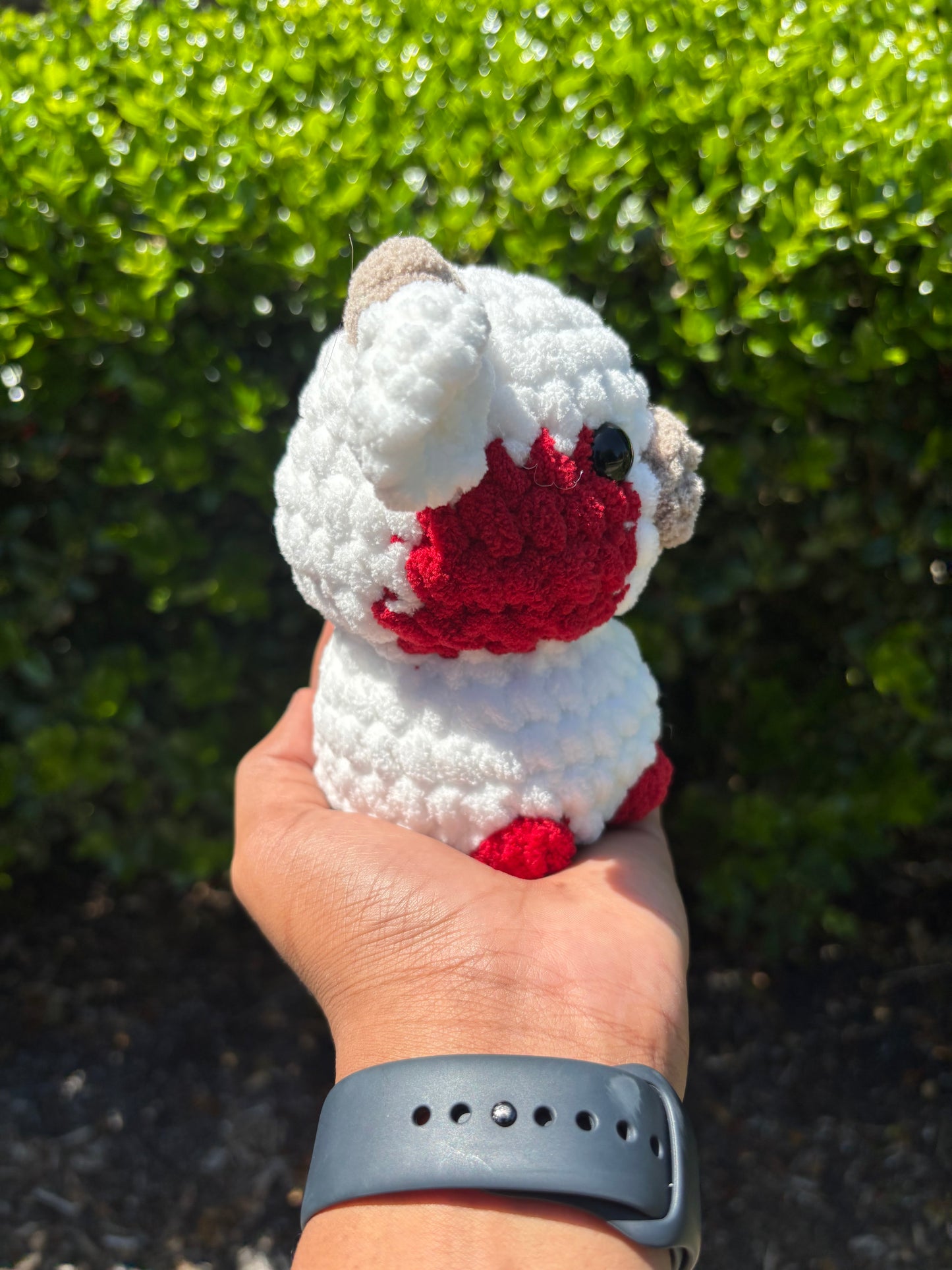 Red & White Cow