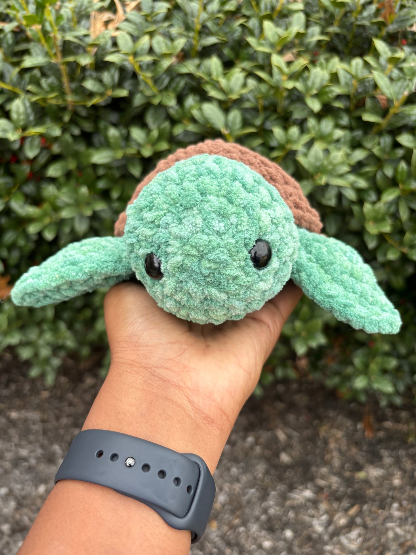 Spearmint Green & Dark Brown Turtle