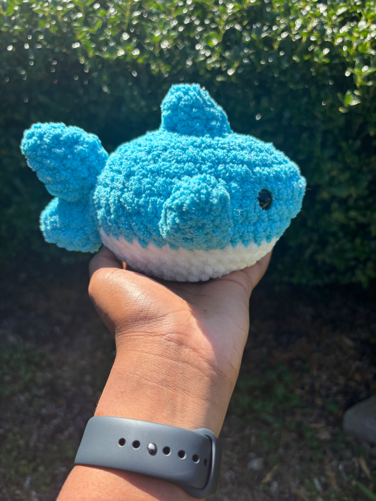 Electric Blue Shark