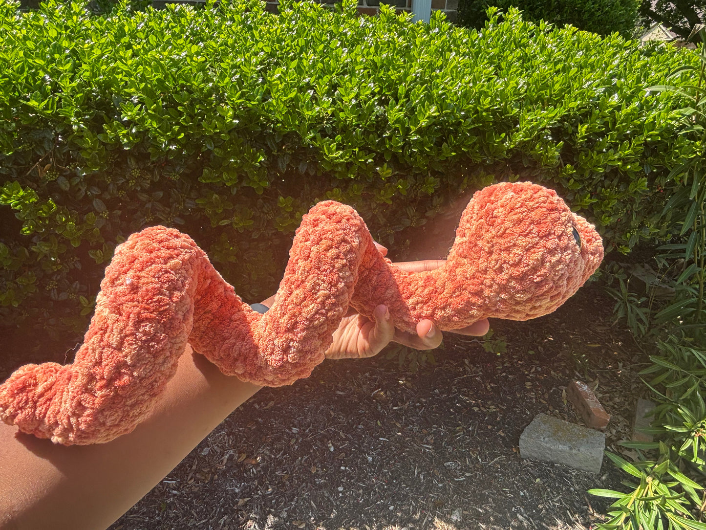 Orange Mystical Snake