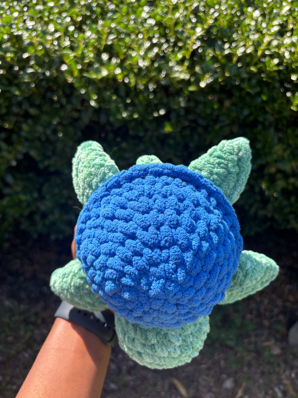Mystical Green & Blue Turtle