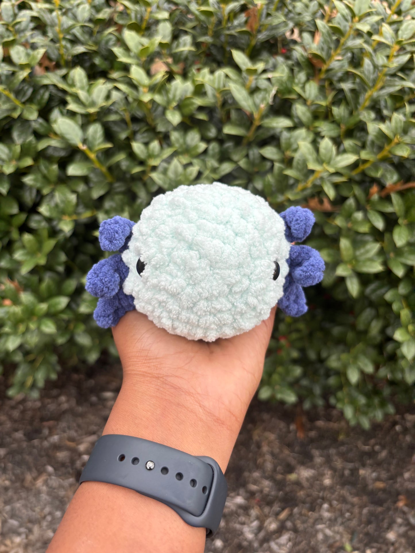 Mint & Navy Blue Axolotl
