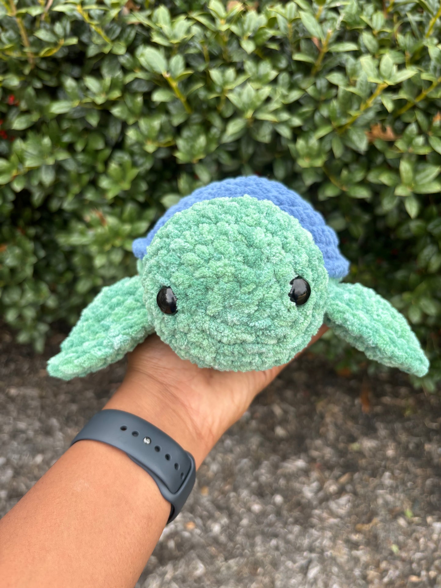Spearmint & Navy Blue Turtle