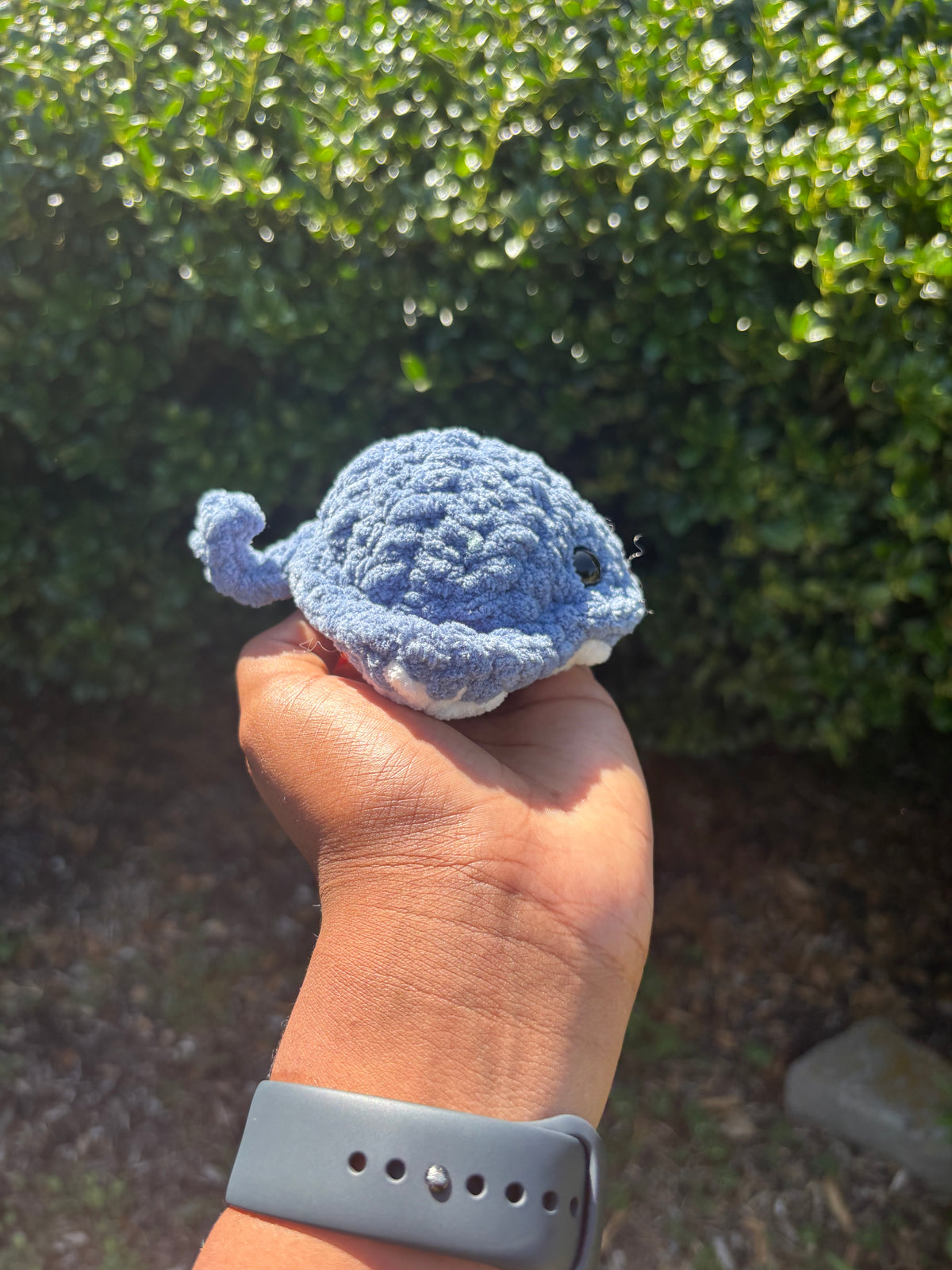 Aqua Mini Stingray