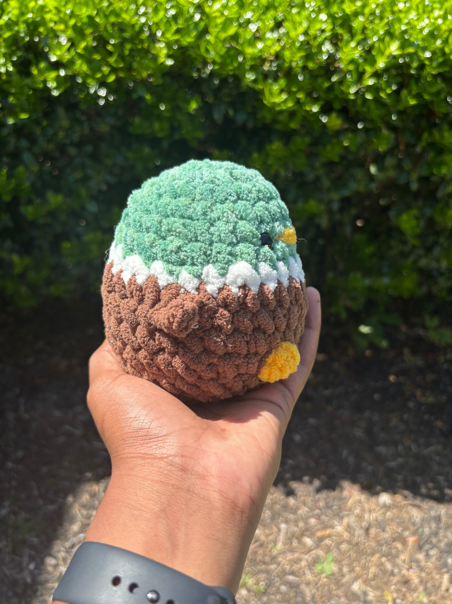 Mystical Green & Dark Brown Mallard