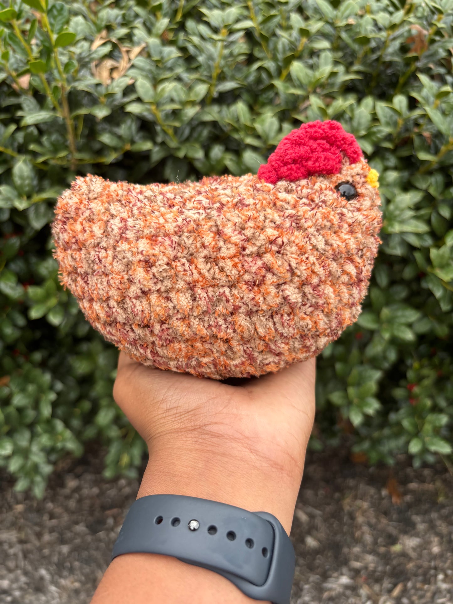 Sandy Tweed Chicken