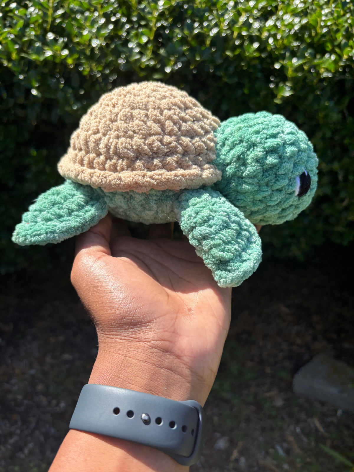 Mystical Green & Brown Turtle