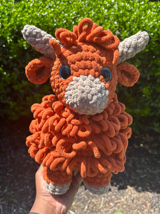 Big Highland Cow