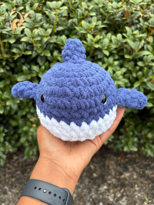 Navy Shark