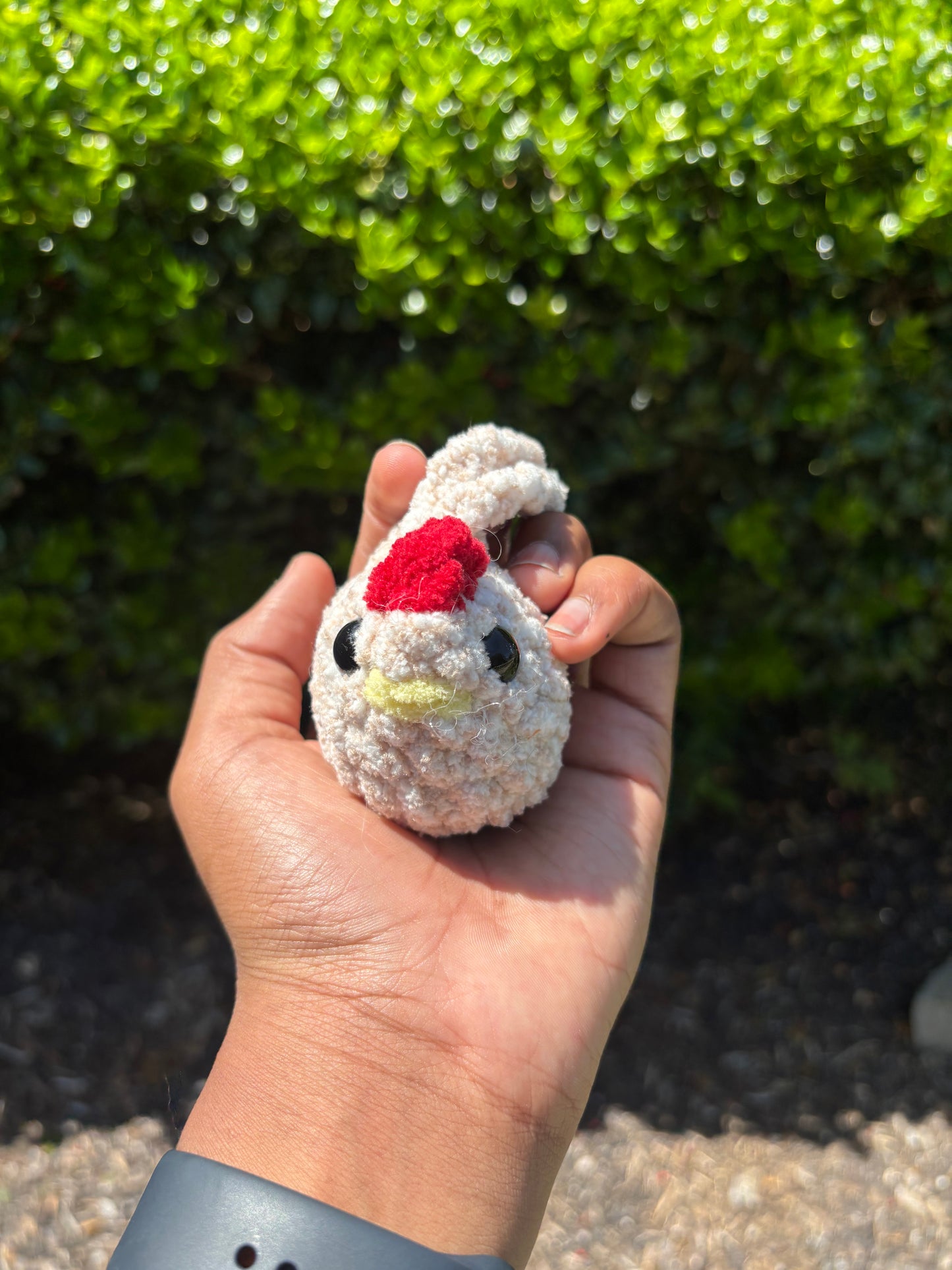 Mini Cream Speckled Chicken