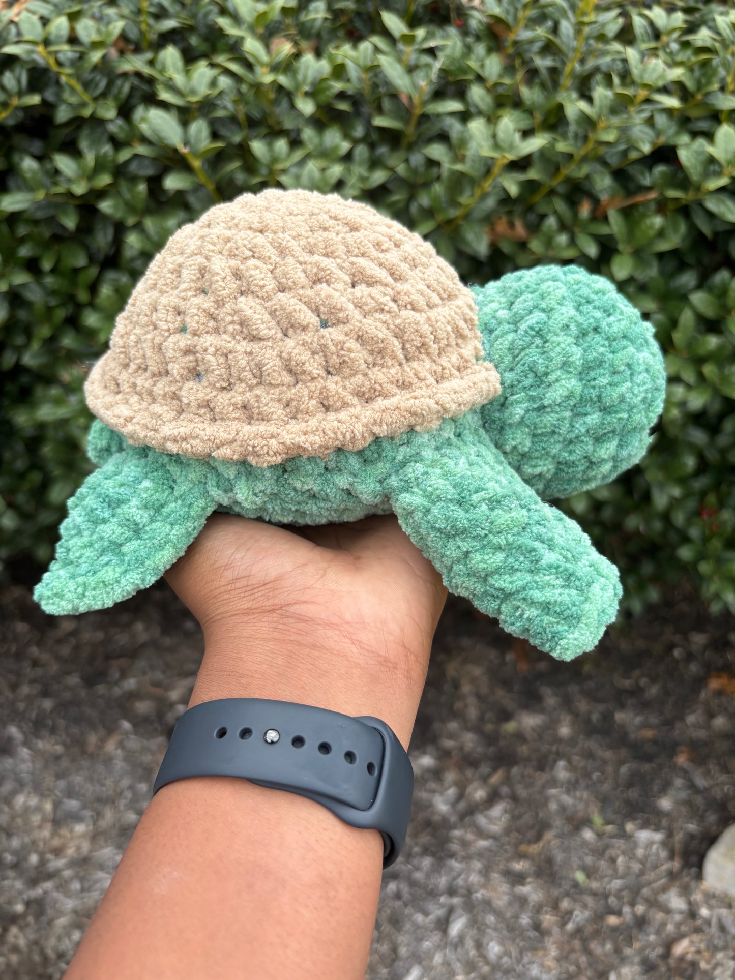 Spearmint & Light Brown Turtle