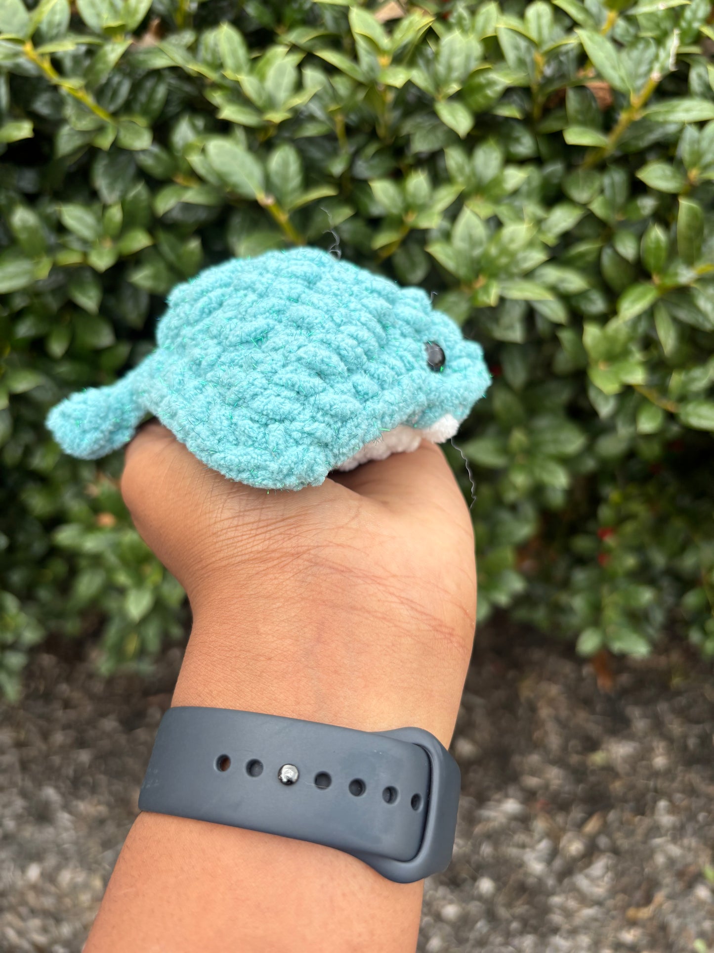 Seaside Sparkle Mini Stingray