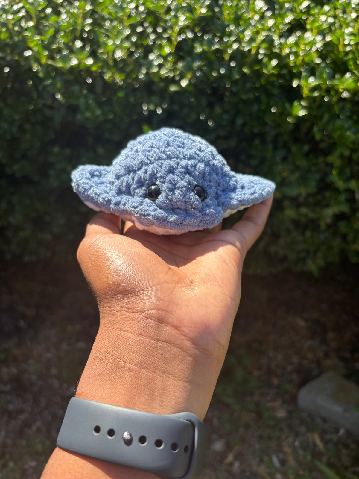 Aqua Mini Stingray