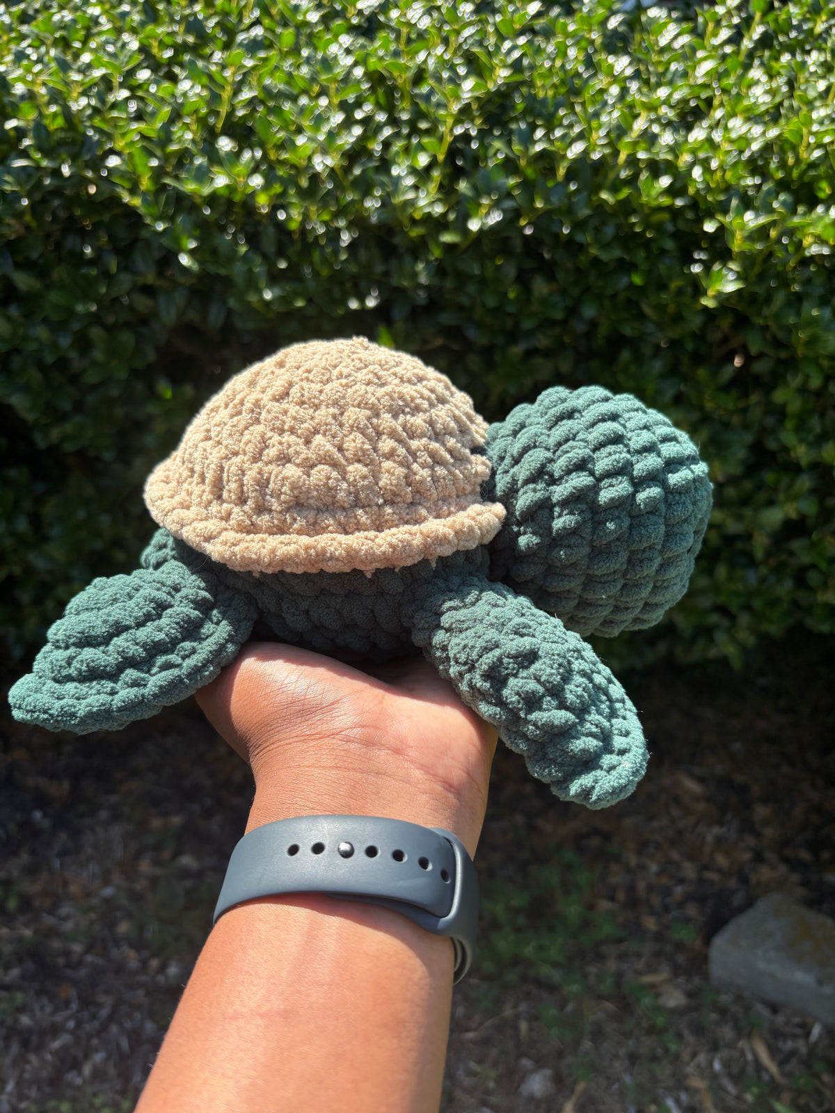 Dark Green & Brown Turtle