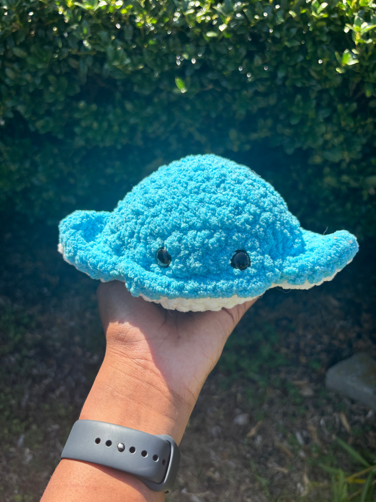 Electric Blue Stingray