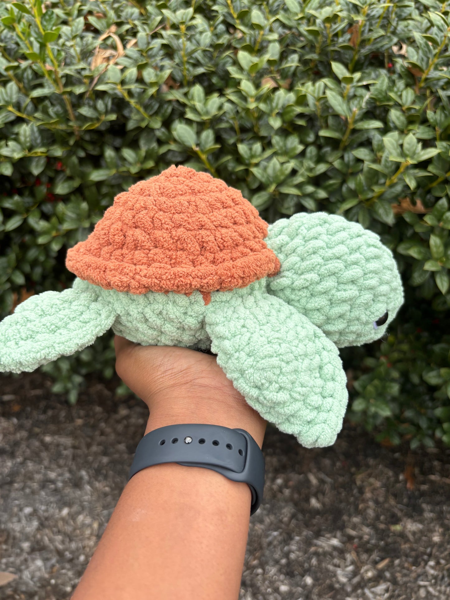 Clary Sage & Brown Turtle