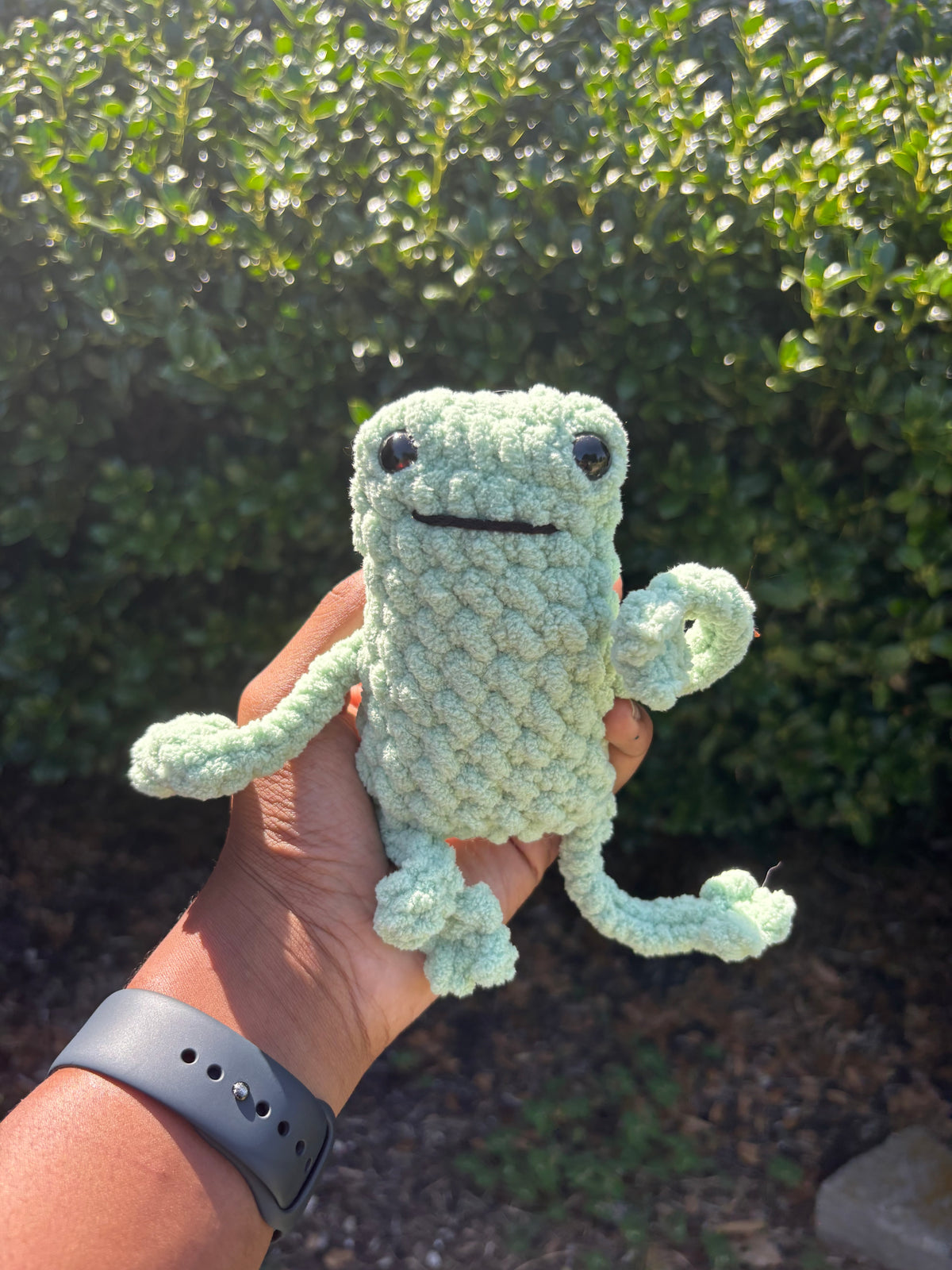 Sage Leggy Frog