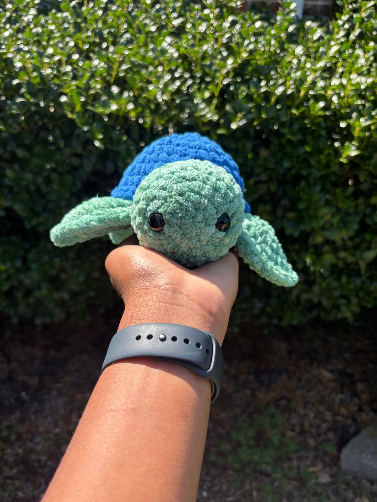 Mystical Green & Blue Turtle