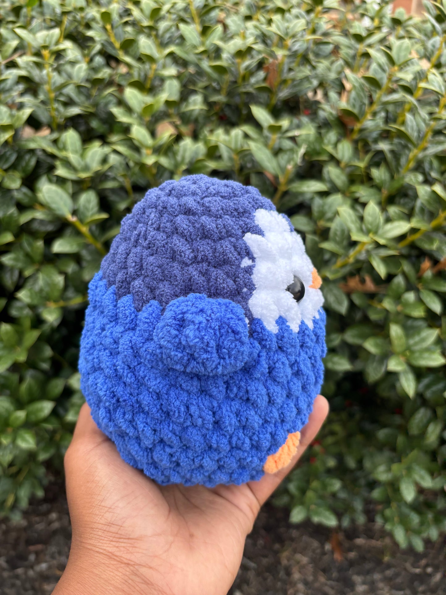 Cobalt Blue Pengiun