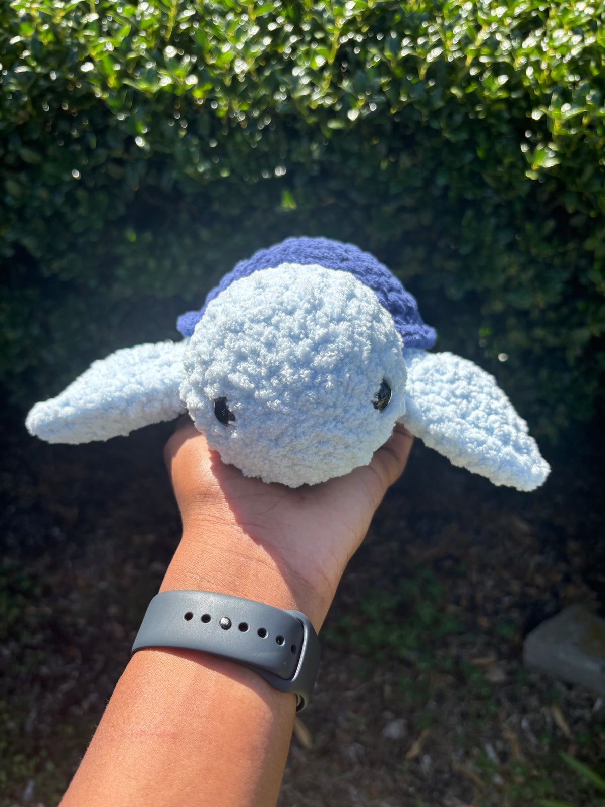 Blue Turtle