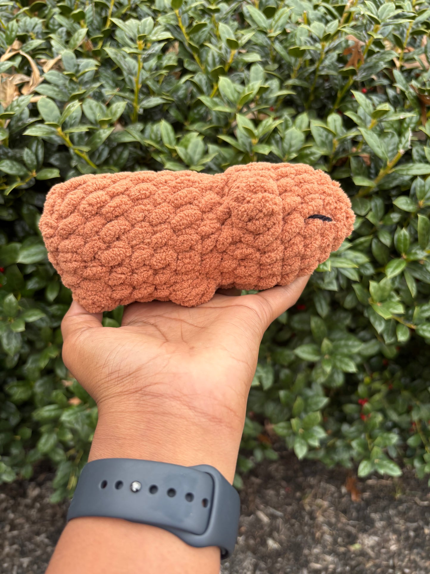 Capybara