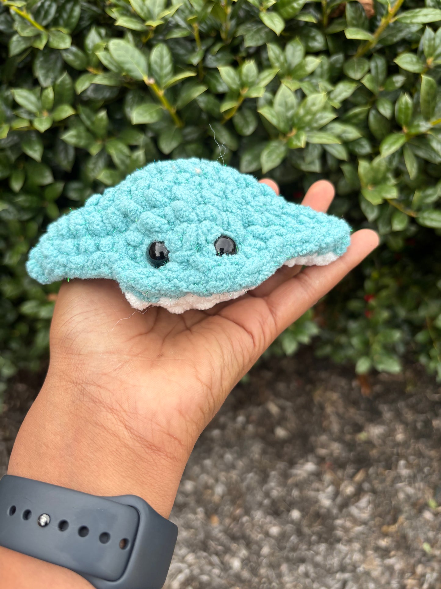 Seaside Sparkle Mini Stingray