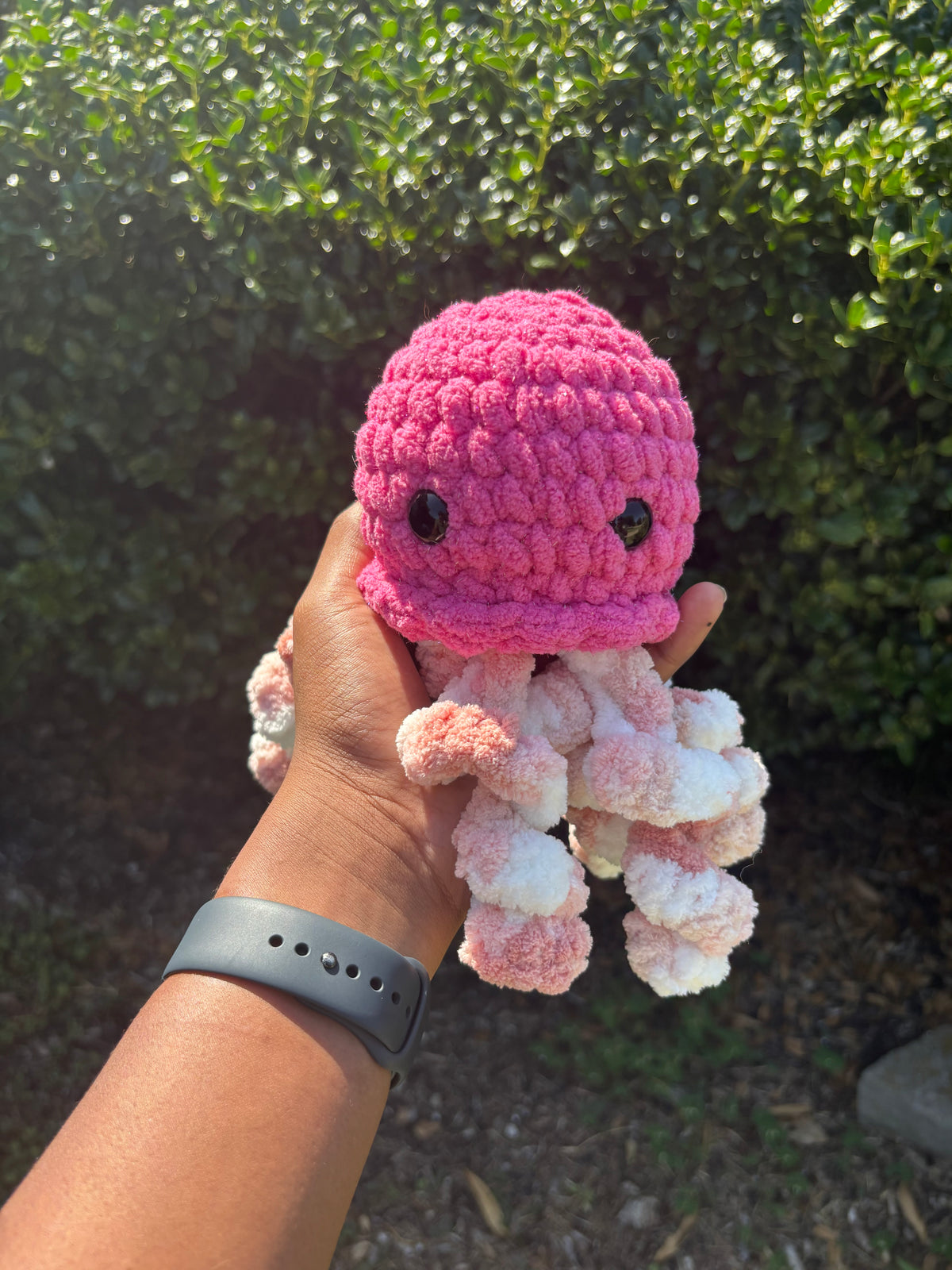 Pink Jellyfish