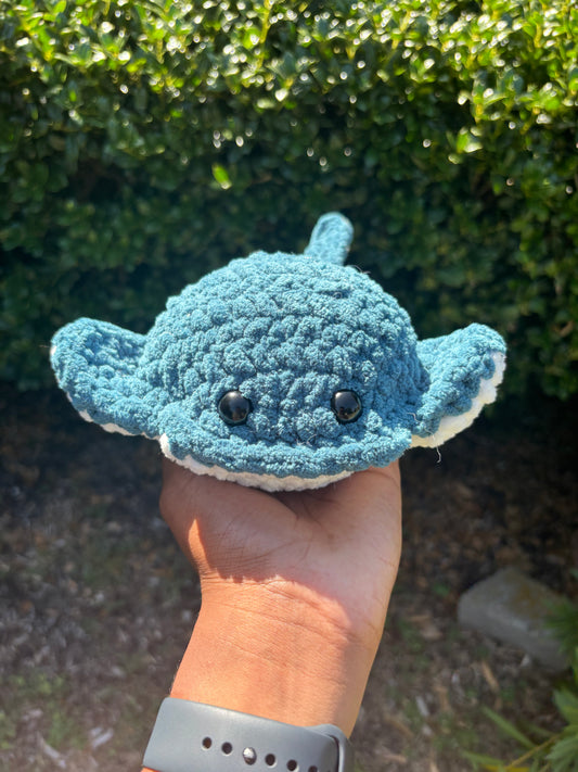 Dark Teal Stingray