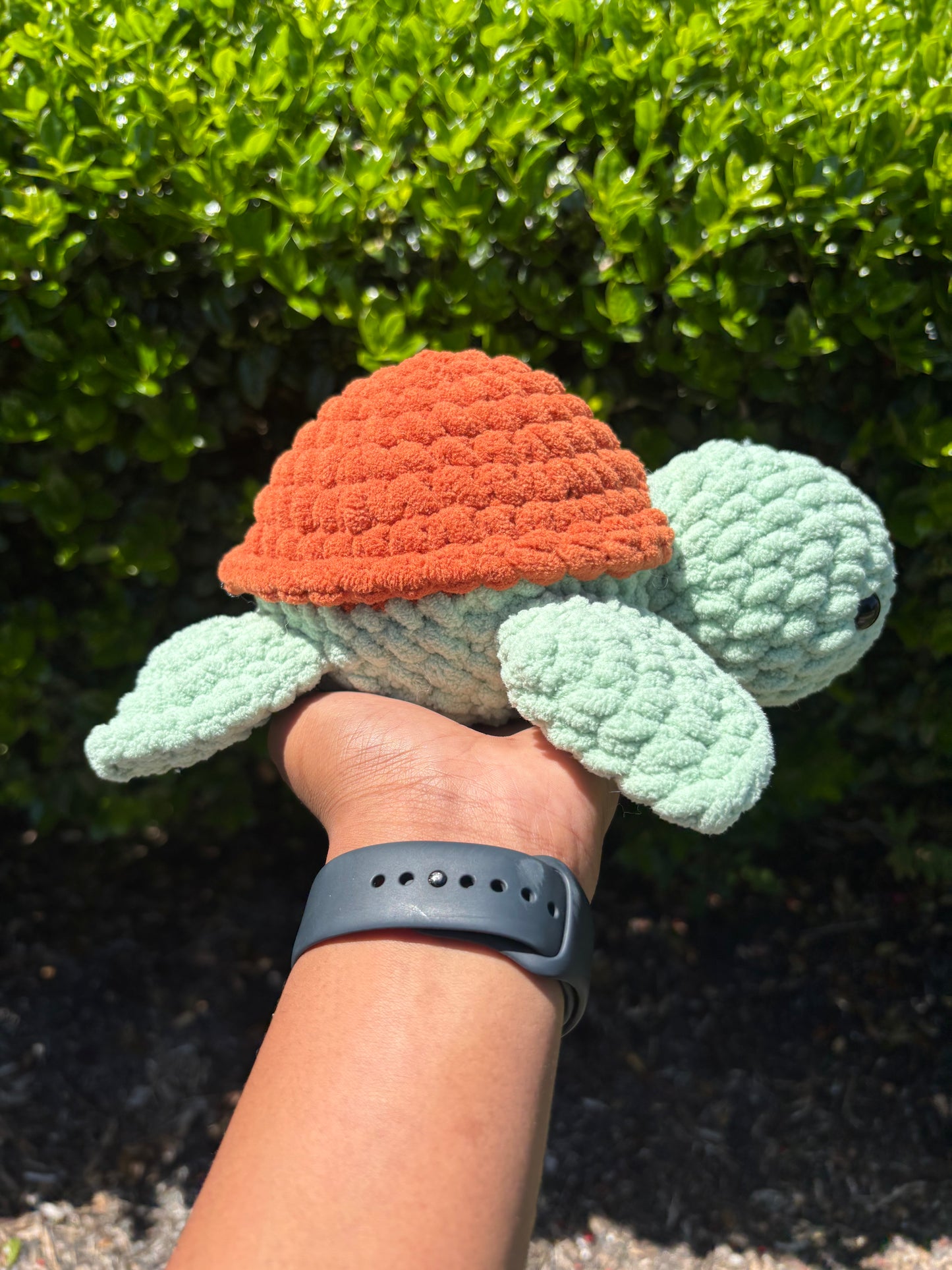 Clary Sage & Cinnamon Turtle