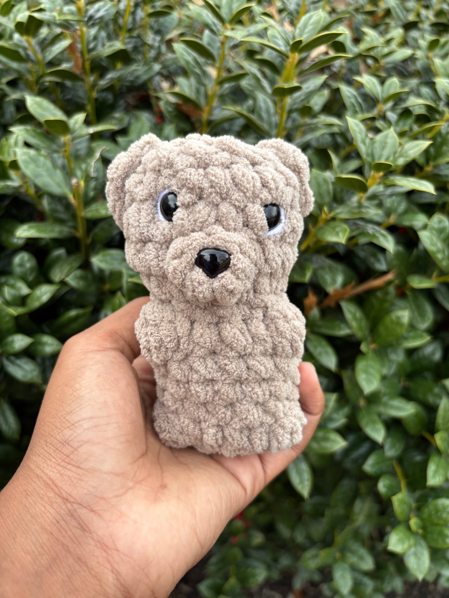 Toffee Bear