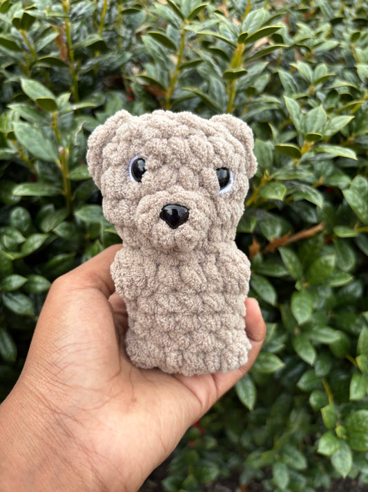 Toffee Bear