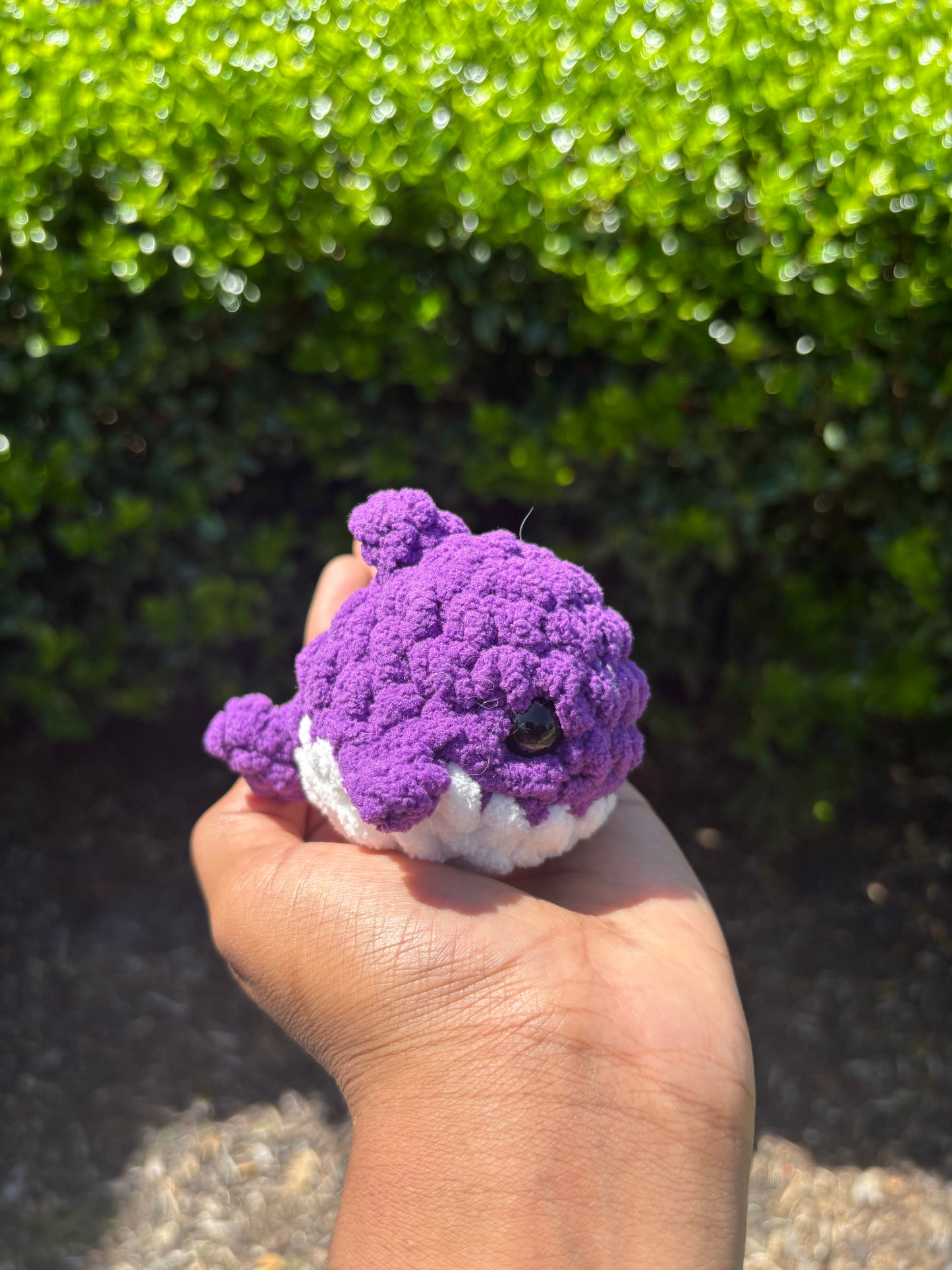Purple Mini Shark
