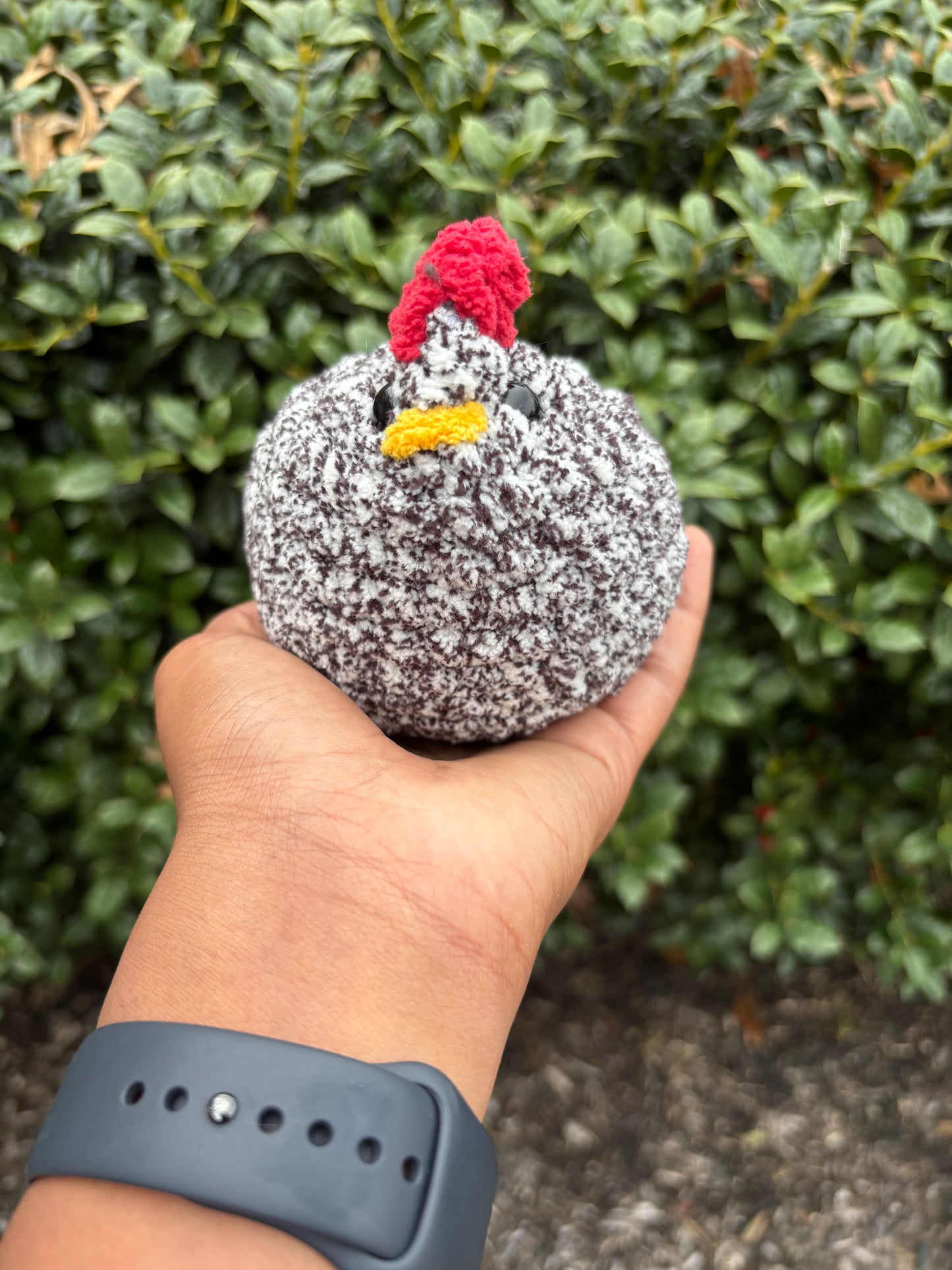 Typewriter Chicken