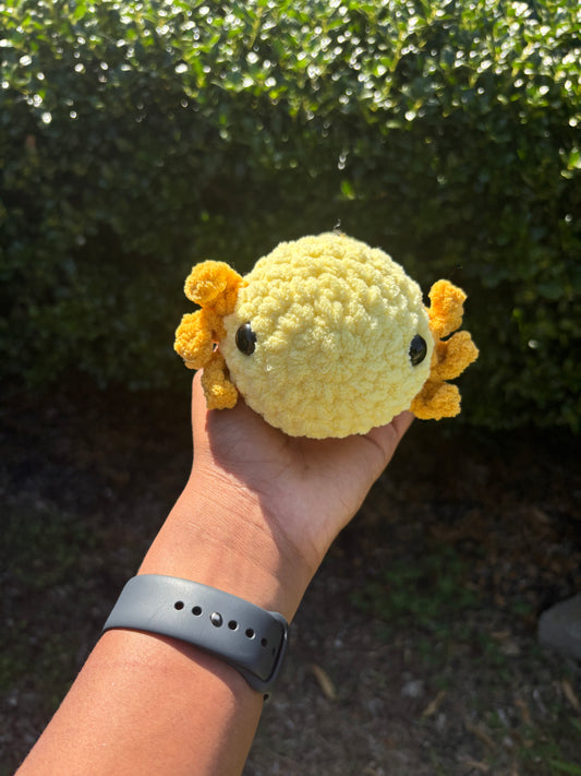Yellow Axolotl