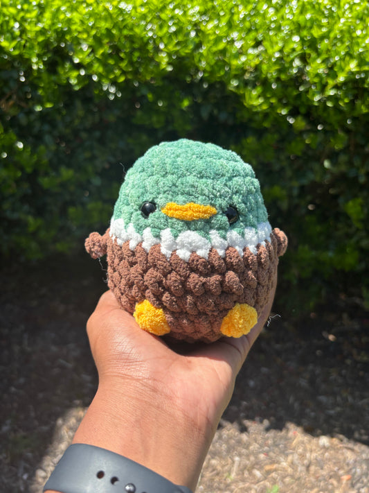 Mystical Green & Dark Brown Mallard