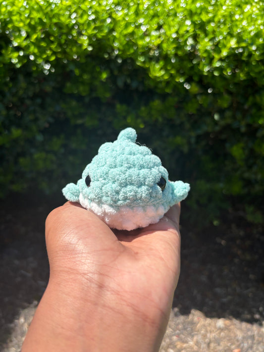 Light Teal Mini Shark