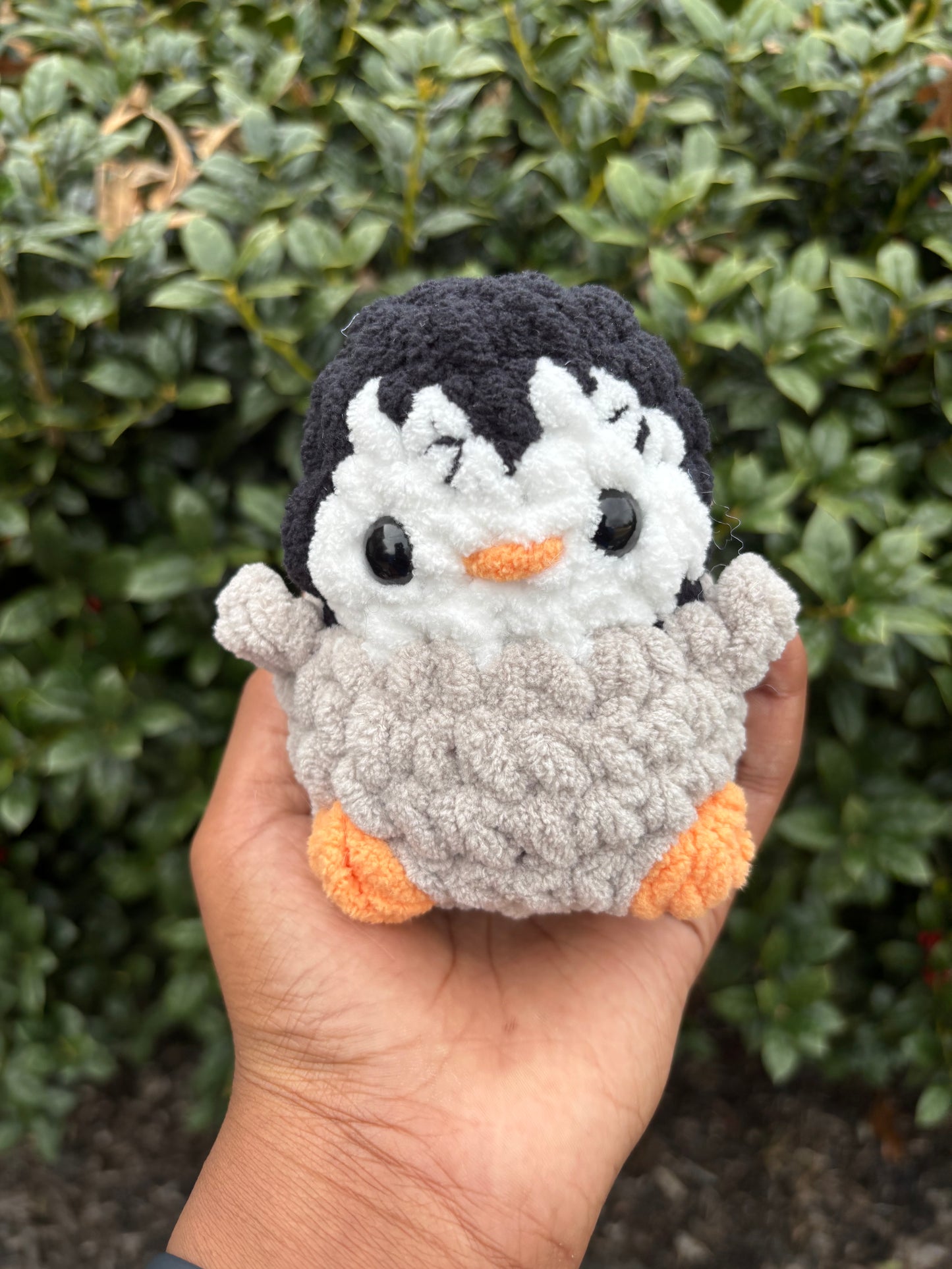 Black Mini Penguin