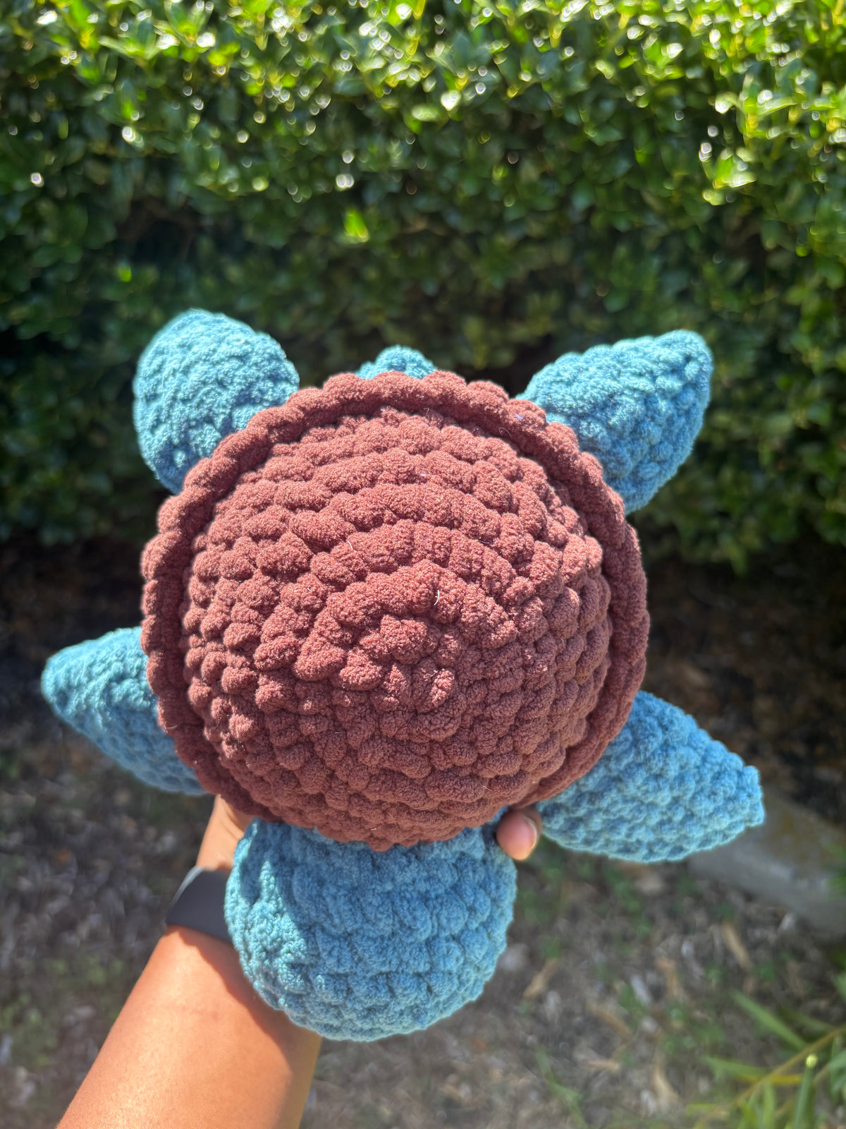 Dark Teal & Dark Brown Turtle