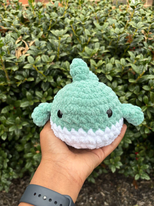 Light Teal Shark