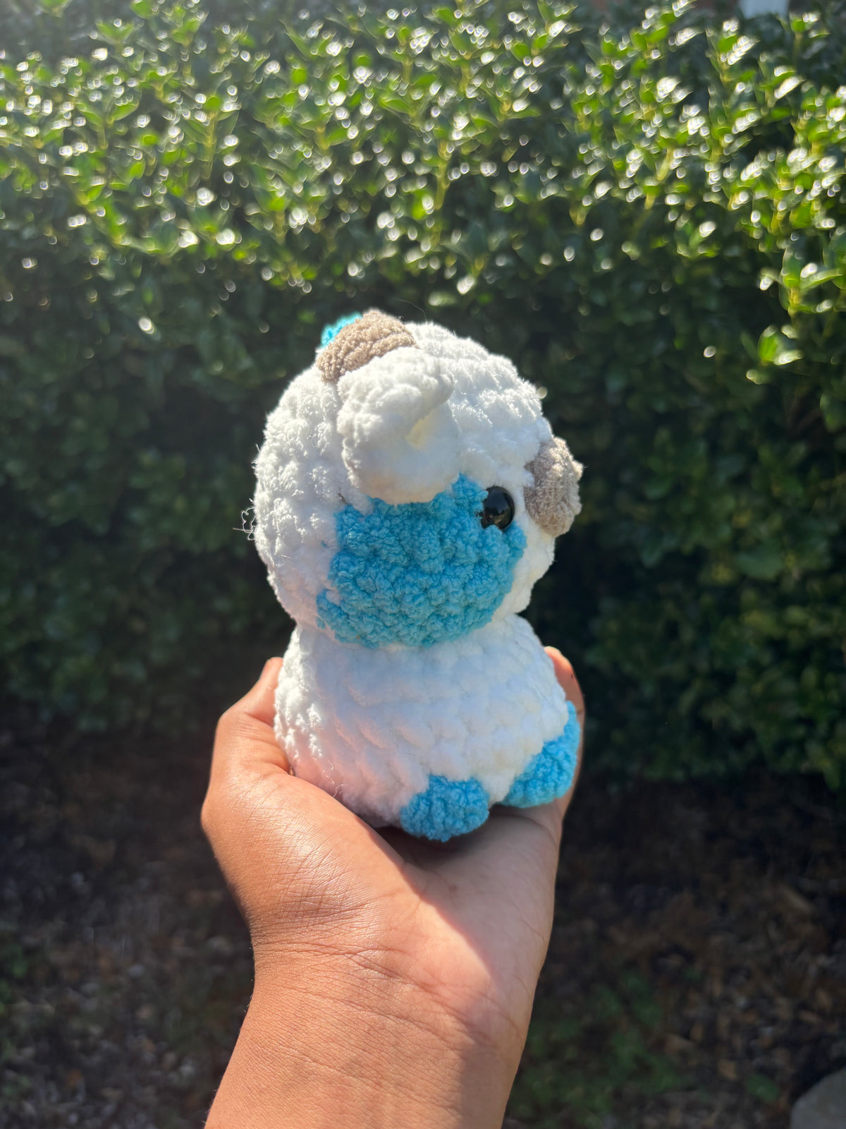 Electric Blue & White Cow