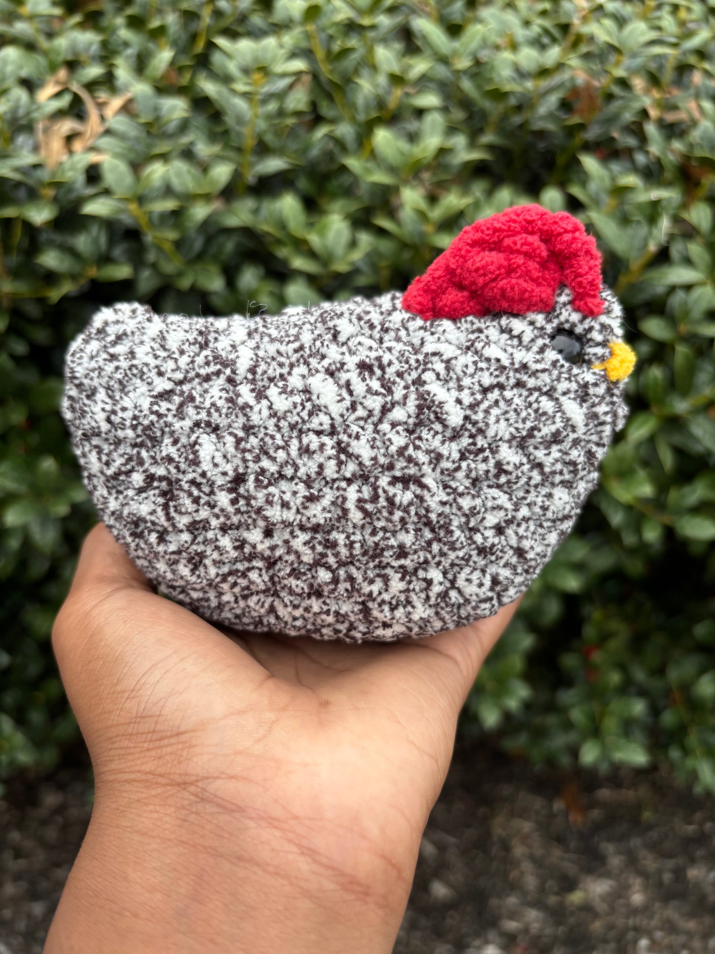 Typewriter Chicken