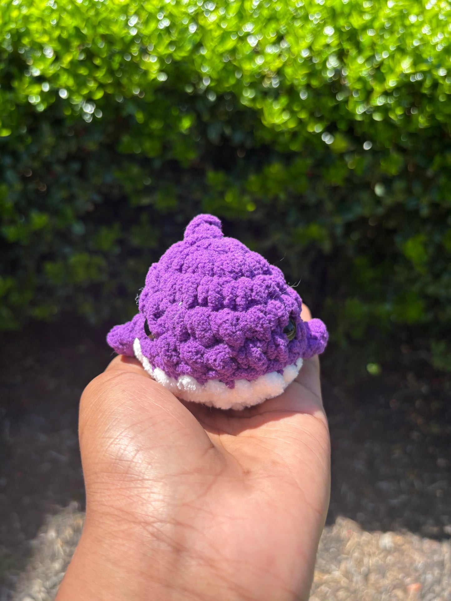 Purple Mini Shark