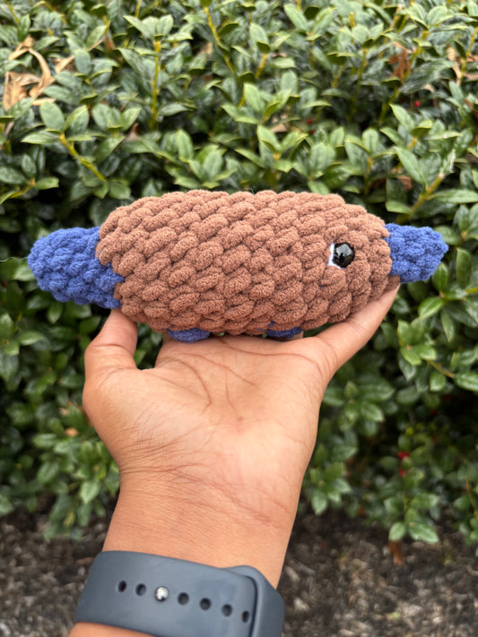 Dark Brown & Navy Blue Platypus