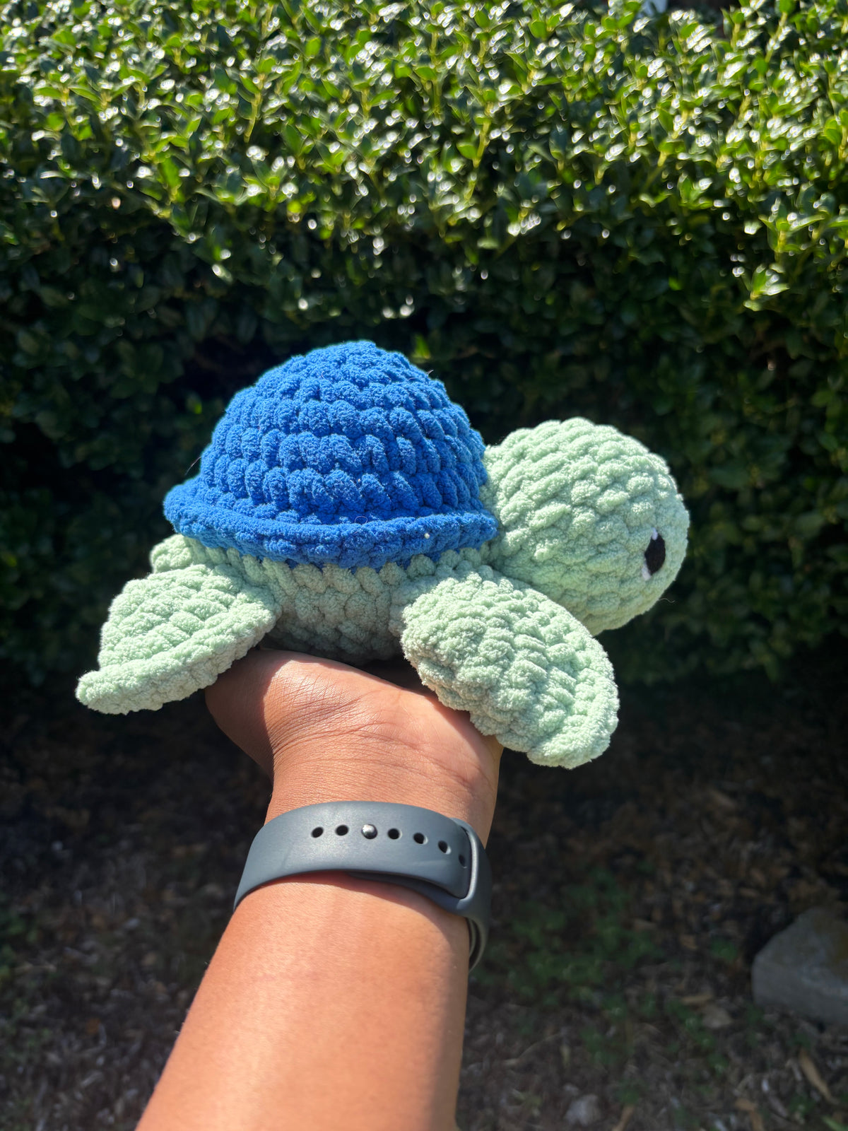 Sage & Blue Turtle