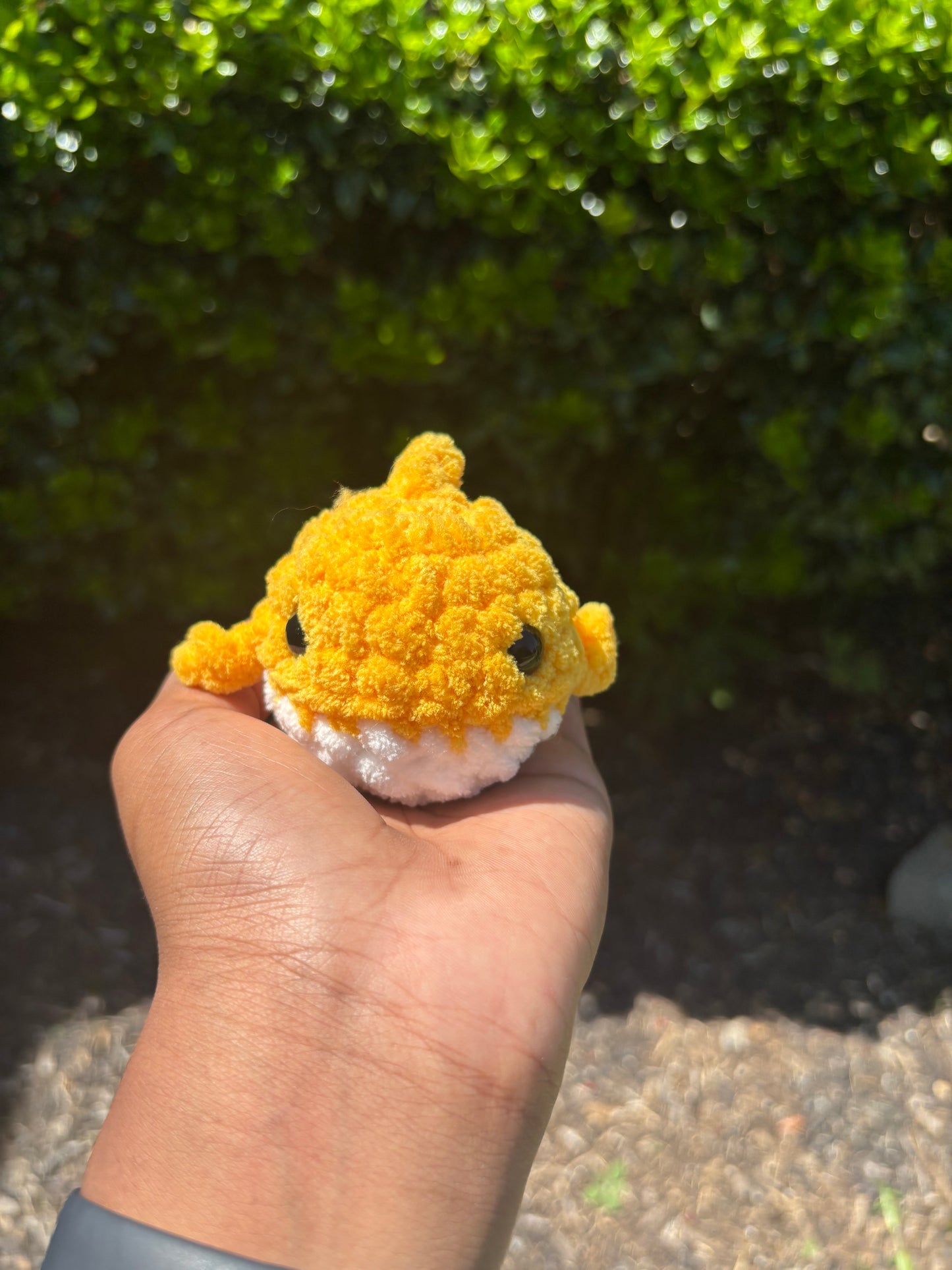 Dark Yellow Mini Shark
