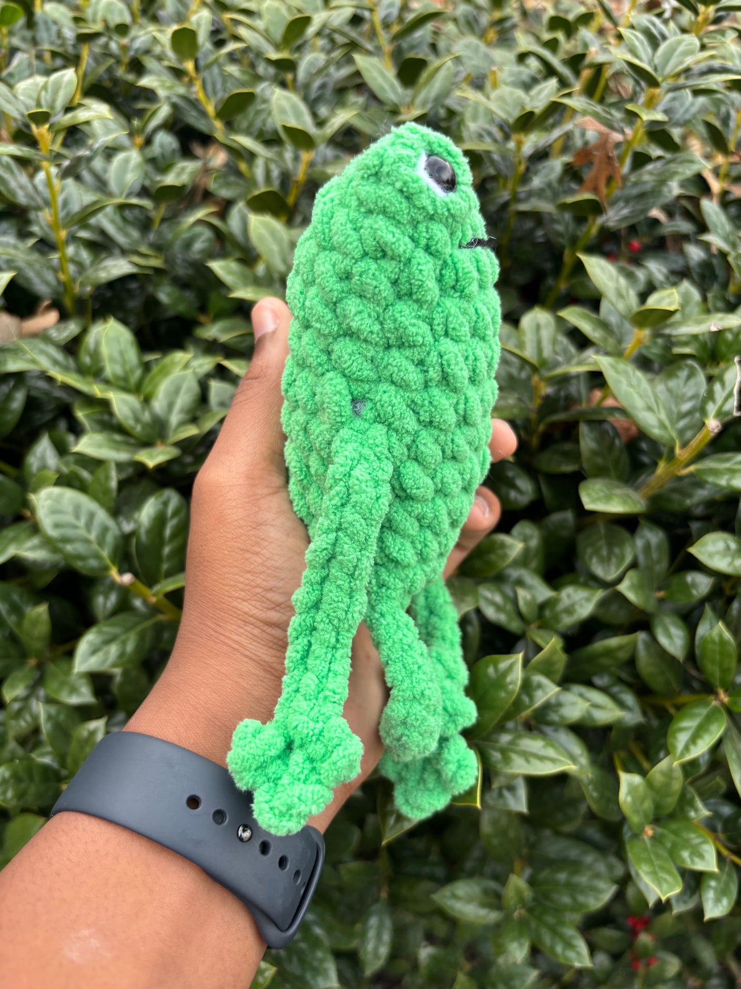 Green Leggy Froggie