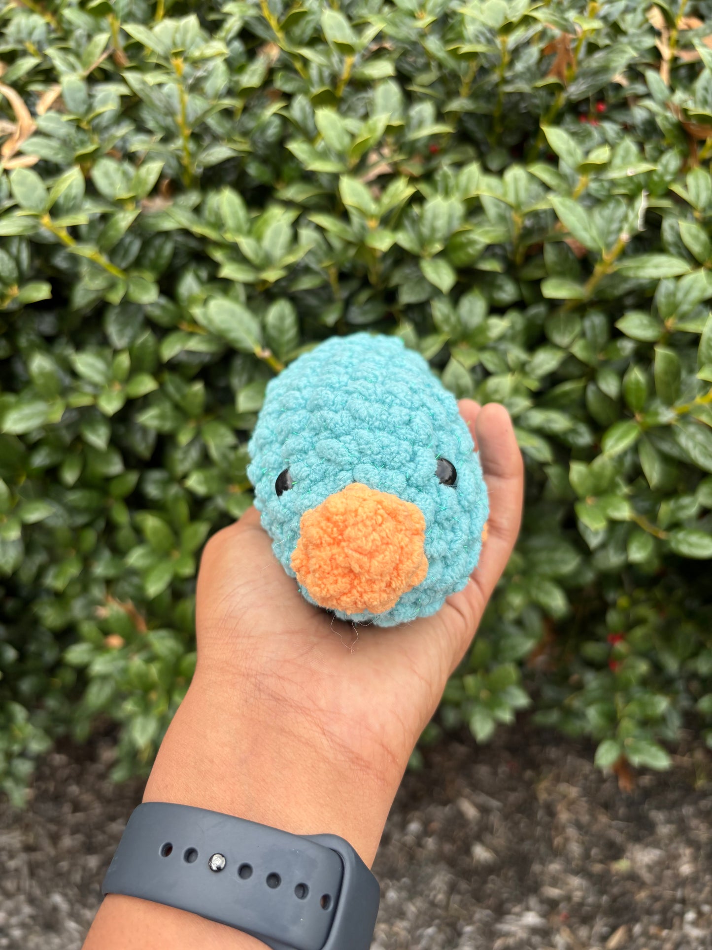 Seaside Sparkle & Orange Platypus