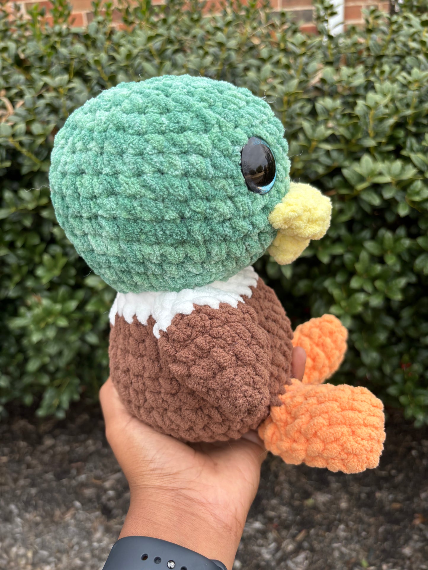 Jumbo Mallard